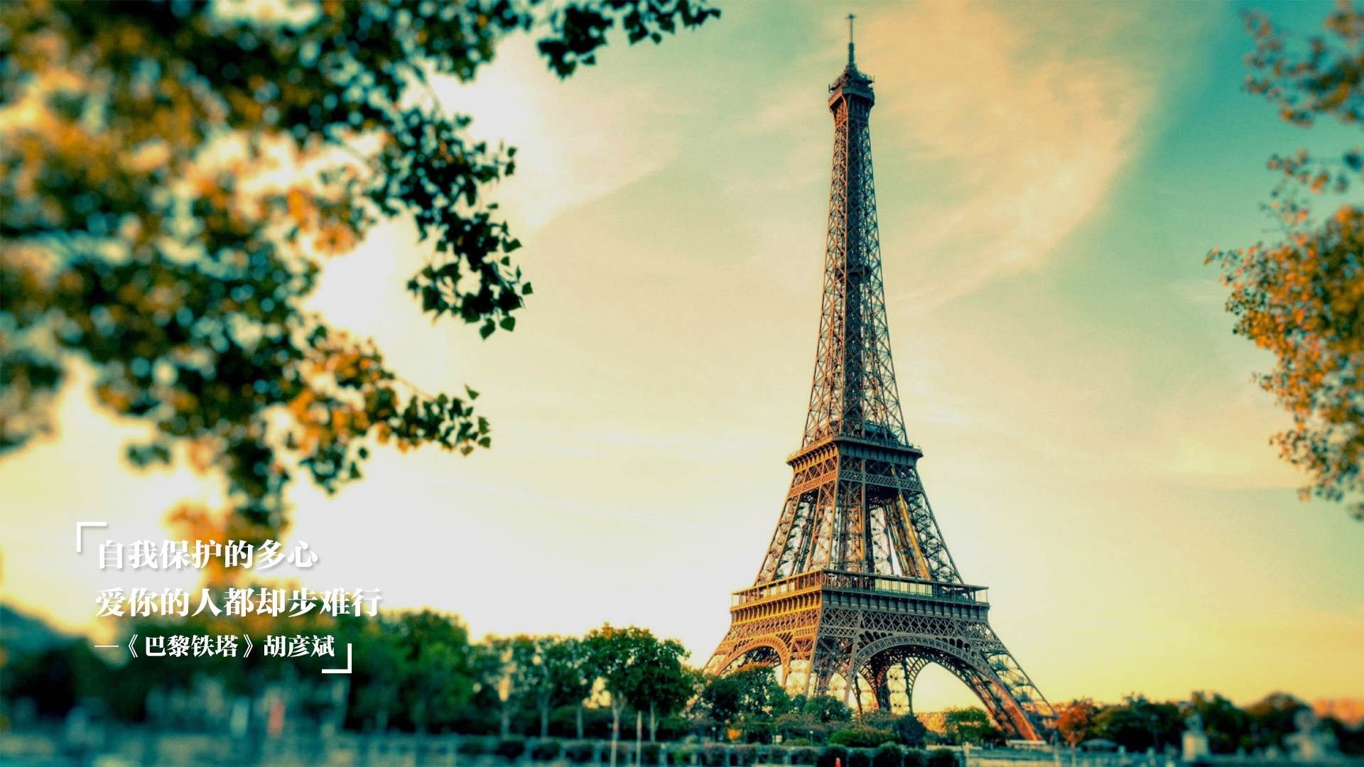 安全措施升级：保障车手生命安全的每一步，确保车辆安全运行