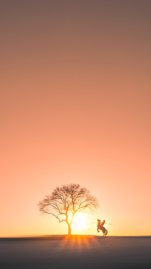 开云体育APP下载-【极限速度科技】投球速度突破人类极限，令人振奋！，投球时速