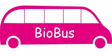 开云·Kaiyun网页版-意甲联赛的绿色可持续发展，意甲联赛啥意思